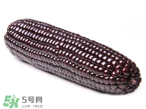 紫玉米會掉色嗎？紫玉米怎么會掉色？