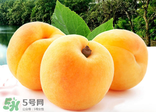 黃桃和水蜜桃哪個(gè)好吃？黃桃和水蜜桃的區(qū)別