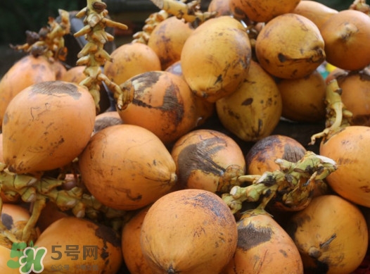 椰子什么時候成熟？椰子什么時候吃最好