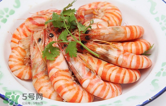 活的斑節(jié)蝦多少錢(qián)一斤？野生斑節(jié)蝦多少錢(qián)一斤
