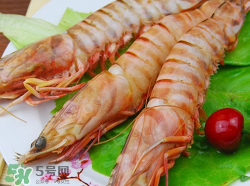 活的斑節(jié)蝦多少錢(qián)一斤？野生斑節(jié)蝦多少錢(qián)一斤