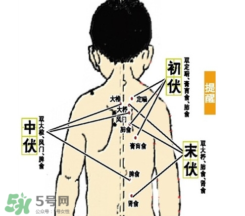 三九灸和三伏灸有什么區(qū)別？做完三伏灸要注意什么？
