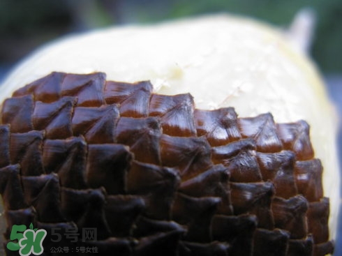 蛇皮果能生吃嗎？蛇皮果能放冰箱嗎？