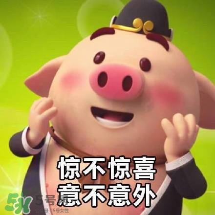豬小屁表情包是什么？豬小屁表情包為什么這么火？