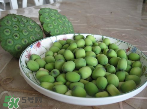 新鮮蓮子多少錢一斤？新鮮蓮子哪里有賣？