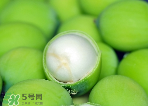 新鮮蓮子多少錢一斤？新鮮蓮子哪里有賣？