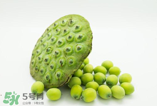 新鮮蓮子可以直接吃嗎？生蓮子可以直接吃嗎？