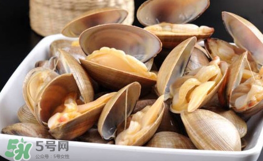 黃蜆子多少錢一斤？河蜆子多少錢一斤