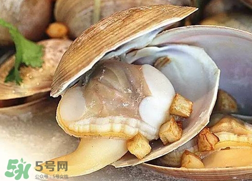 蒸蜆子多長時(shí)間？黃蜆子蒸多久能熟？