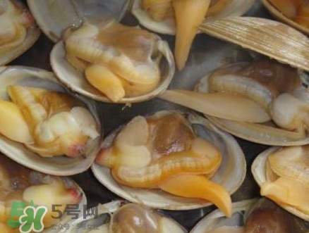 蜆子肉里白色長(zhǎng)條東西是什么？蜆子肉里面透明的能吃嗎