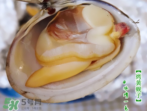 蜆子什么樣的是活的？蜆子開口是死還是活