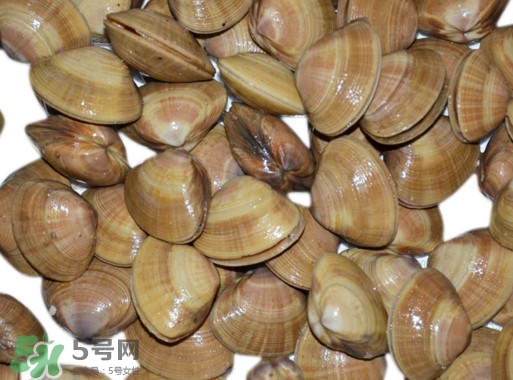 蜆子是花甲嗎？蜆子是海鮮嗎？