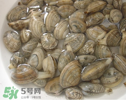 蜆子死了還能吃嗎？蜆子死了多久不能吃