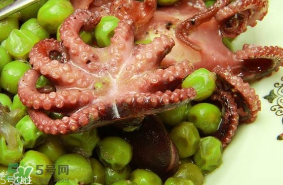 八爪魚多少錢一斤？章魚多少錢一斤