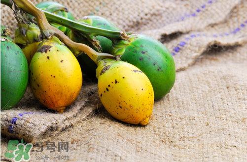 檳榔什么味道？正宗的檳榔是什么味道？