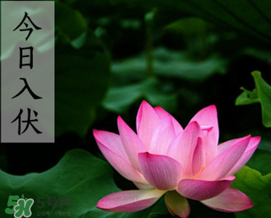 2017年頭伏是幾月幾號？2017年入伏第一天是幾月幾號？