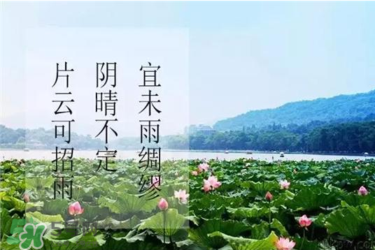 2017年幾月幾號入伏？入伏是幾月幾號2017？