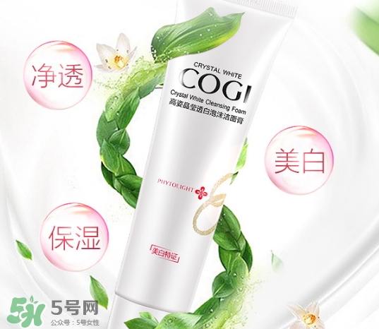 高姿洗面奶多少錢？高姿洗面奶真假查詢