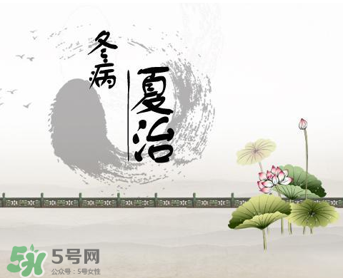 2017年三伏貼什么時(shí)候貼？2017年三伏貼貼幾天？