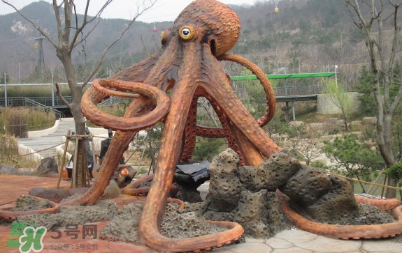 章魚是烏賊嗎？章魚與烏賊的區(qū)別