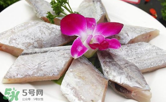 帶魚是咸的嗎？帶魚是無鱗魚嗎