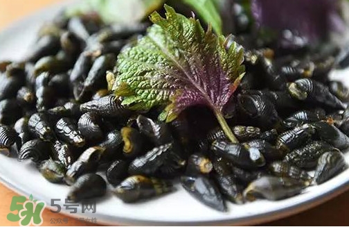 紫蘇是什么植物？紫蘇是發(fā)物嗎？