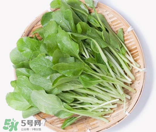 雞毛菜有什么營(yíng)養(yǎng)價(jià)值？雞毛菜的功效與作用