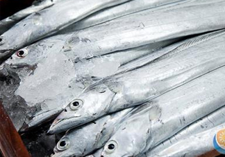 帶魚是深海魚嗎？帶魚是海鮮嗎