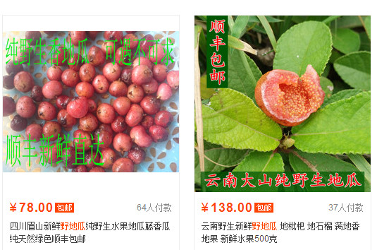 野地瓜哪里可以買到？哪個(gè)地方有種植野地瓜的