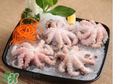 八爪魚(yú)可以生吃嗎？八爪魚(yú)生吃有寄生蟲(chóng)嗎