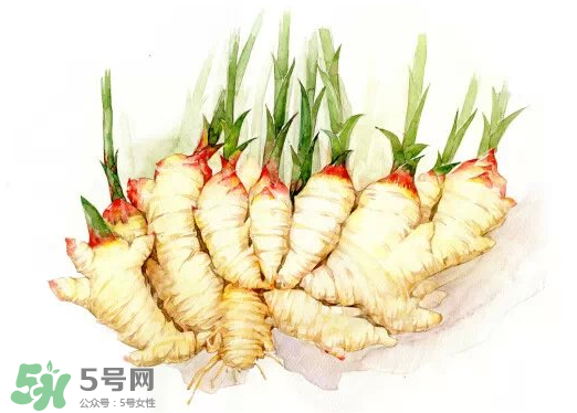 7月份可以種生姜嗎？生姜幾月份種植？