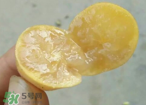 黃皮可以吃皮嗎？黃皮果可以帶皮吃嗎