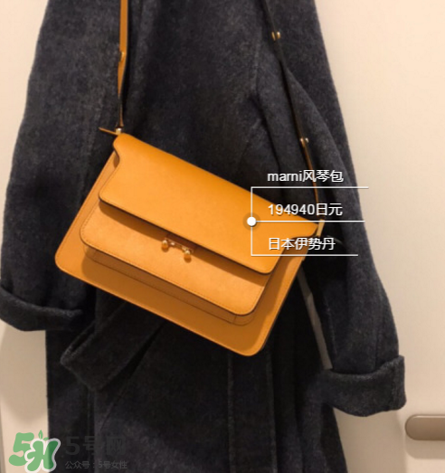 marni風(fēng)琴包尺寸多大？marni風(fēng)琴包尺寸有幾種？