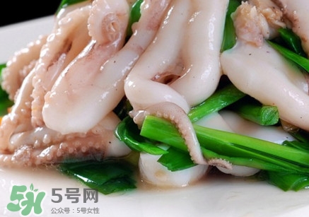 八爪魚是魷魚嗎？八爪魚是章魚嗎