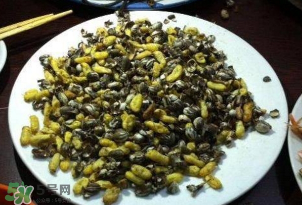 洋辣子是什么？洋辣子能吃嗎？