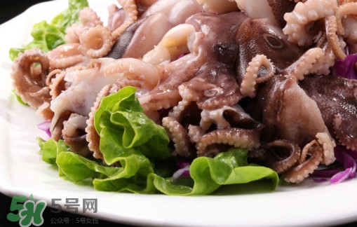八爪魚是魷魚嗎？八爪魚是章魚嗎