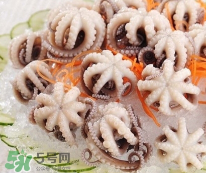 八爪魚為什么有大米？八爪魚為什么有墨汁