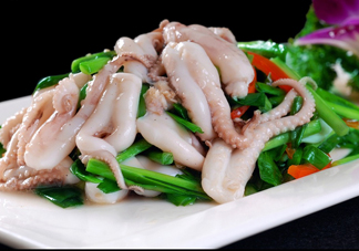八爪魚是魷魚嗎？八爪魚是章魚嗎
