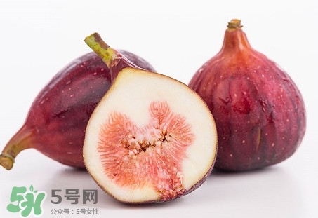 無花果喜陽還是喜陰植物？無花果吃多會怎么樣