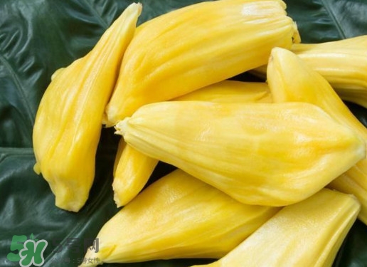 木菠蘿買來怎么吃？木菠蘿吃多了會(huì)怎樣？