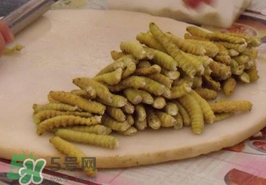 豆丹做菜前怎么處理干凈？豆丹怎么養(yǎng)殖