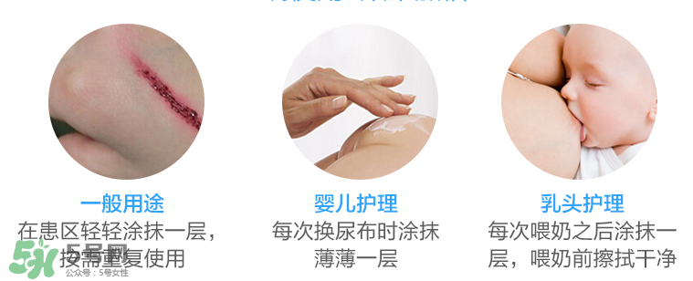 拜耳護臀膏有激素嗎？拜耳護臀膏含不含激素？