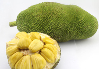 木菠蘿買來(lái)怎么吃？木菠蘿吃多了會(huì)怎樣？