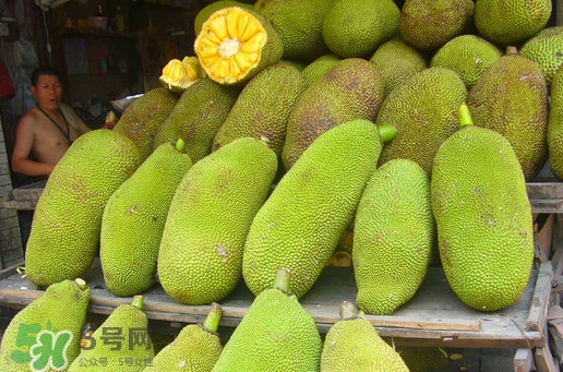 木菠蘿買來怎么吃？木菠蘿吃多了會(huì)怎樣？