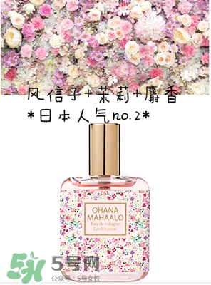 ohana mahaalo香水是什么牌子？ohana mahaalo在哪買？
