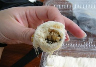 龍須糖是哪里的特產(chǎn)？龍須糖為什么叫龍須糖
