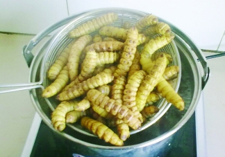 豆丹做菜前怎么處理干凈？豆丹怎么養(yǎng)殖
