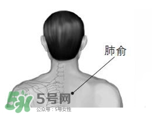 三伏貼能治過敏性鼻炎嗎？三伏貼治過敏性鼻炎貼哪里？