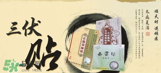 貼三伏貼掛什么科？三伏貼掛什么號(hào)？