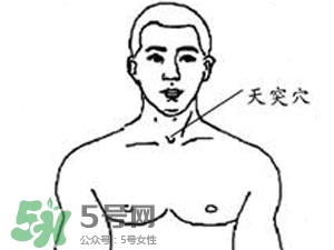 三伏貼能治過敏性鼻炎嗎？三伏貼治過敏性鼻炎貼哪里？